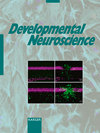 DEVELOPMENTAL NEUROSCIENCE雜志封面